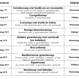 SOEP